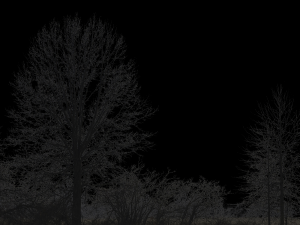 Background 3D Model
