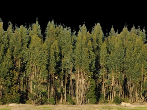 Background 3D Model