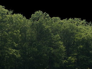 Background 3D Model