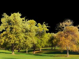 Background 3D Model