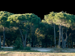 Background 3D Model