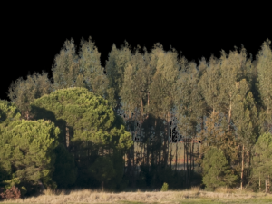 Background 3D Model