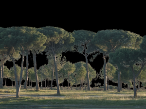Background 3D Model