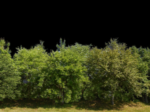 Background 3D Model