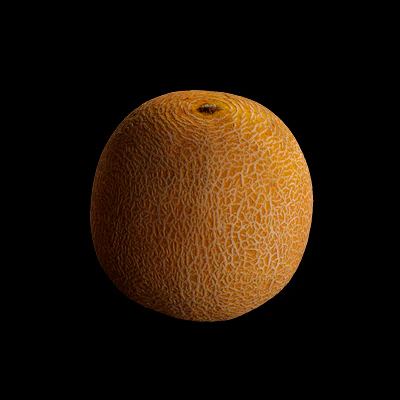 Melon 3D Model .c4d .max .obj .3ds .fbx .stl .blend 