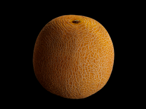 Melon 3D Models