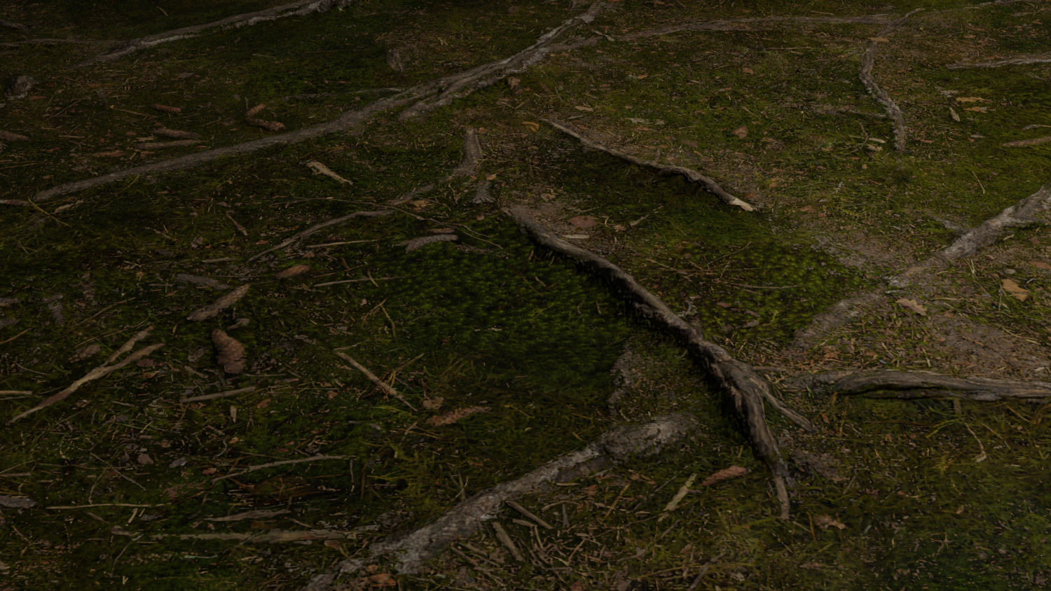 PBR CG texture ground 4k CG Textures .c4d .max .obj .3ds .fbx .stl .blend 