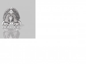 Armadillo stl 3D 模型