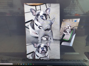 FRENCHIE BULDOG FRANCES 3D 模型
