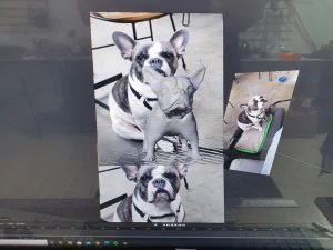 BULLDOG FRANCÉS FRANCES Modelo 3D