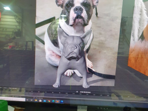 FRENCHIE BULDOG FRANCES 3D Model