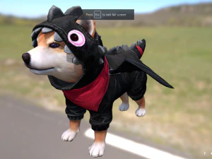 柴犬自由火 3D 模型