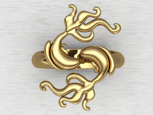 Anneau de poisson Modèles 3D en vedette