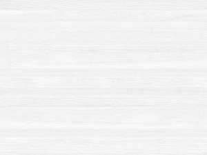 RackHorizon 3D Model