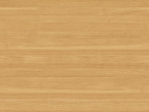 RackHorizon 3D Model