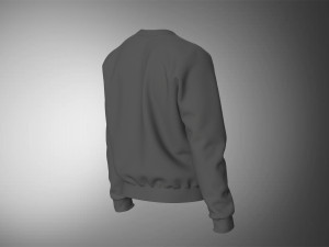 Crewneck Zip Sweat 3D मॉडल