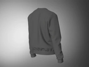 Crewneck Zip Sweat 3D Model