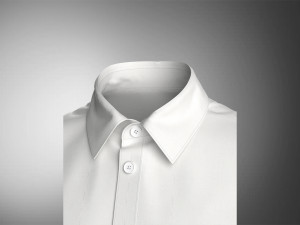 Shirt 3D Model