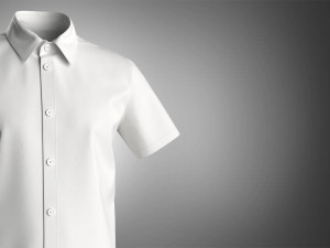 Shirt 3D Model