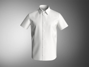 Shirt 3D Model
