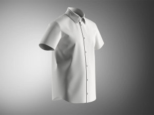 Shirt 3D Model