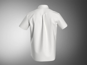 Shirt 3D Model