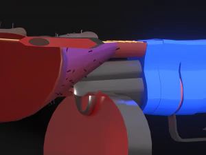 Automatic Balabolka 3D Model