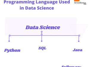 Data Science Introduction Advantages Disadvantages CG Textures