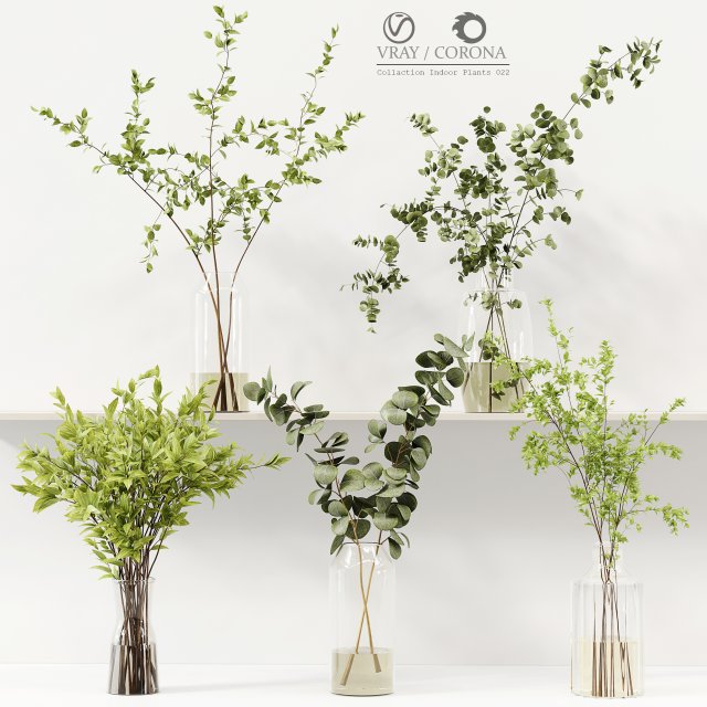 Collaction Indoor Plants 022 Modello 3D .c4d .max .obj .3ds .fbx .stl .blend 