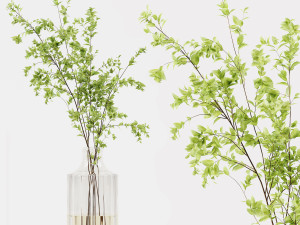 Collaction Indoor Plants 022 Modello 3D