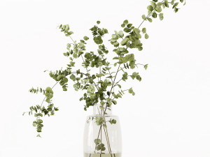 Collaction Indoor Plants 022 Modello 3D