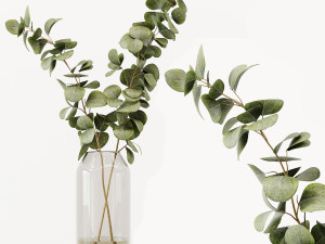 Collaction Indoor Plants 022 Modello 3D