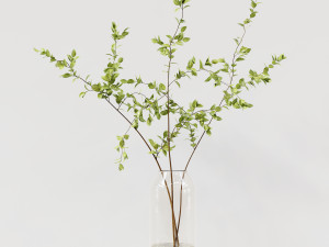 Collaction Indoor Plants 022 Modello 3D