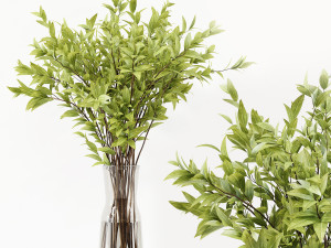 Collaction Indoor Plants 022 Modello 3D