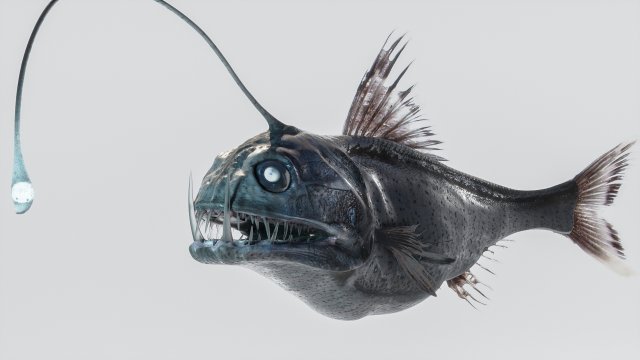 Angler Deep Sea Fish 3D 模型 .c4d .max .obj .3ds .fbx .stl .blend 