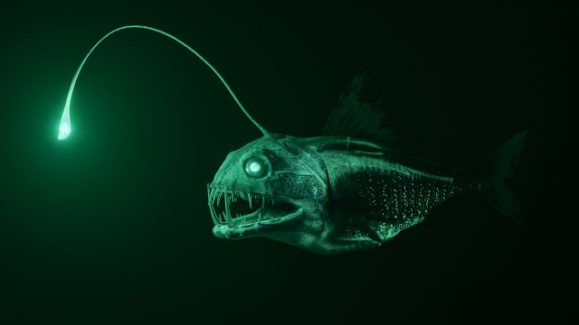 Angler deep sea fish with light sketch Royalty Free Vector