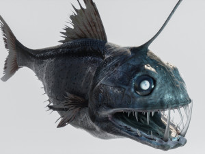 Angler Deep Sea Fish 3D 模型