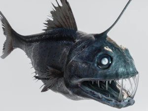 Angler Deep Sea Fish 3D Model
