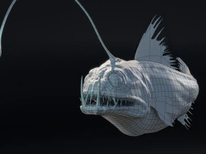 Angler Deep Sea Fish 3D Model