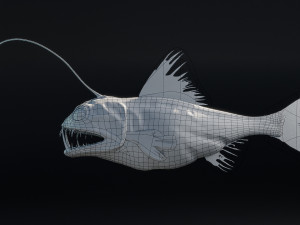 Angler Deep Sea Fish 3D 模型