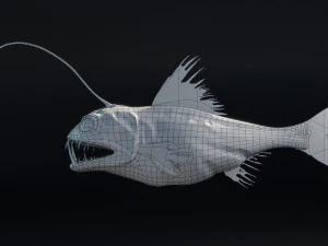 Angler Deep Sea Fish 3D Model