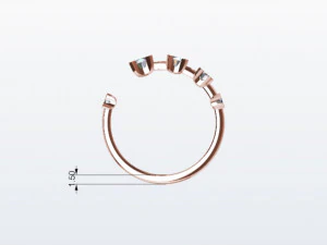 Diamond Hug Ring 5 sizes 3D Print Model