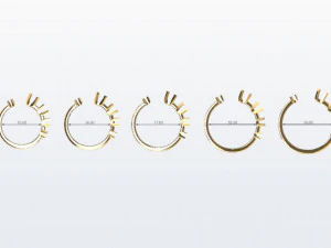 Diamond Hug Ring 5 sizes 3D Print Model