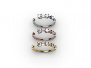 Diamond Hug Ring 5 sizes 3D Print Model