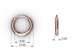Huggie Hoop 12mm 3D Print Model