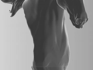 CAVALEIRO Modelo de Impressão 3D