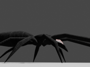 Black spider 3D Model
