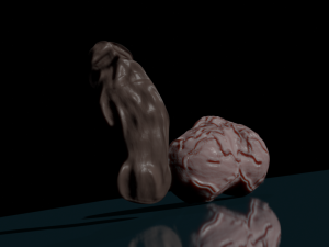 High poly black penis and white balls 3D 모델