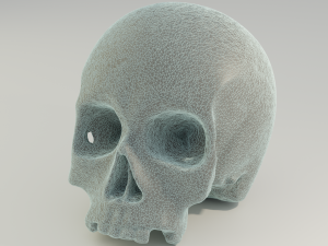 Human Skull 3D 模型