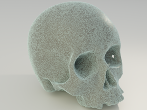 Human Skull 3D 模型